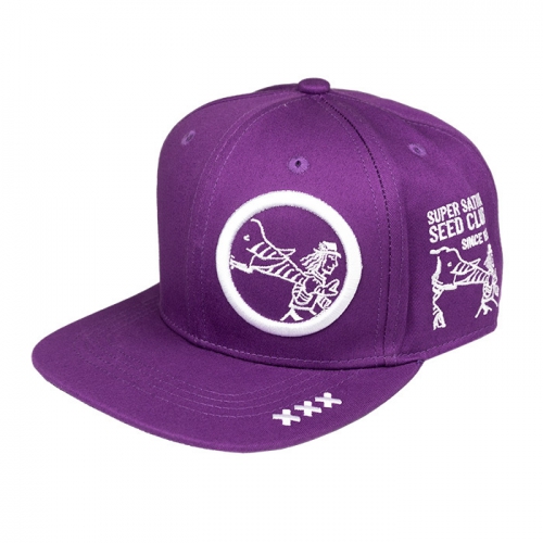 Snapback Cap - Purple