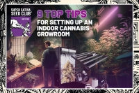 9 Top Tips for Setting Up an Indoor Cannabis Grow Room