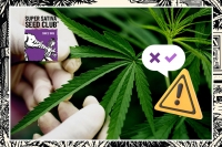 Super Sativa Seed Club Do’s and Don’ts vegetative stage