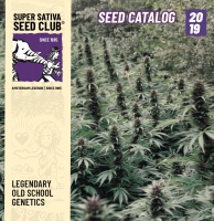 Super Sativa Seed Club, the second seed bank of the world  