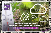 The Importance of Temperature, Humidity and CO2 when Growing Cannabis